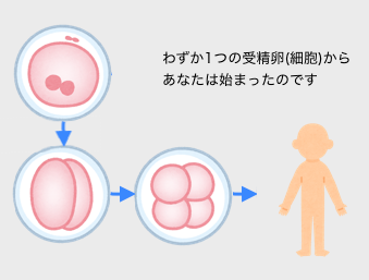 イメージ3