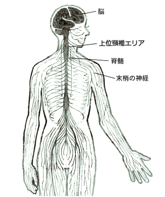 イメージ4