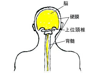 影響