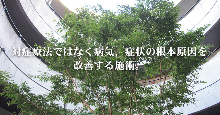 根本原因を改善する施術を提供し続けて、 開業２４年目。